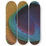 Peacock Eye Skateboard Wall Art