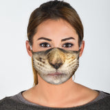 Lovely Brown Maine Coon Cat Protection Face Mask