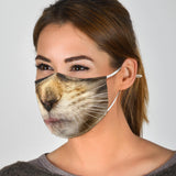 Lovely Brown Maine Coon Cat Protection Face Mask