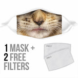 Lovely Brown Maine Coon Cat Protection Face Mask
