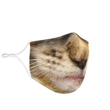 Lovely Brown Maine Coon Cat Protection Face Mask